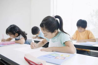 碧桂園·南大街 居于此，學府林立，人文氣韻涵養未來——從學前教育啟航